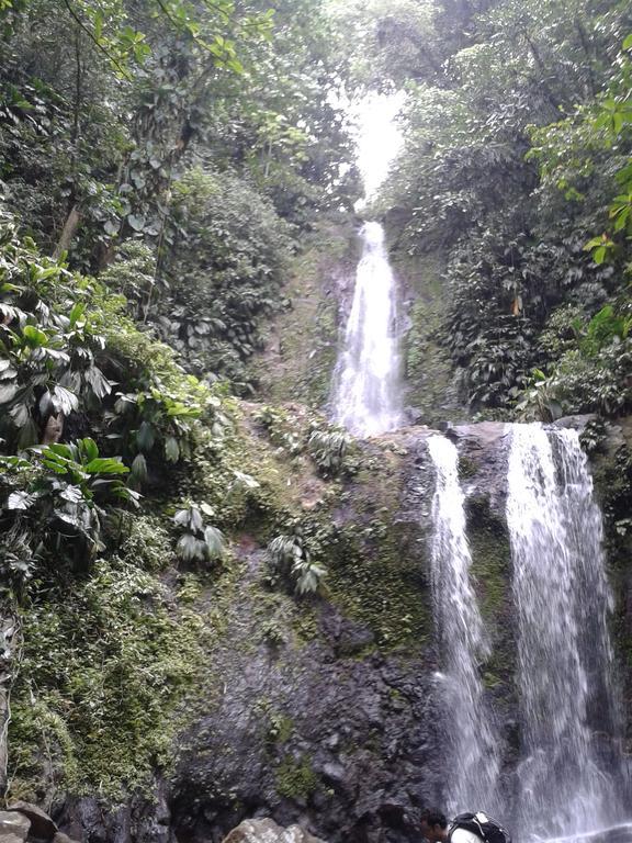 Piscine Majoma Hébergement de vacances